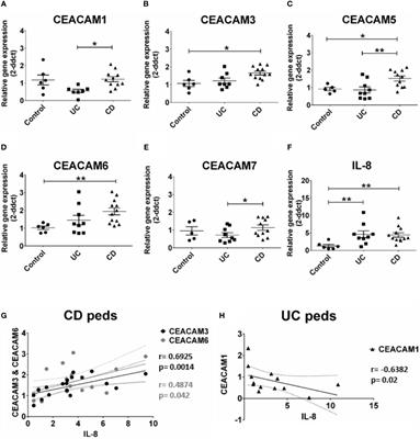 Regulation of CEACAM Family Members by IBD-Associated Triggers in Intestinal Epithelial Cells, Their Correlation to Inflammation and Relevance to IBD Pathogenesis